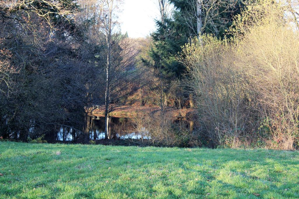 Vila La Petite Jeusseliniere Larchamp Exteriér fotografie